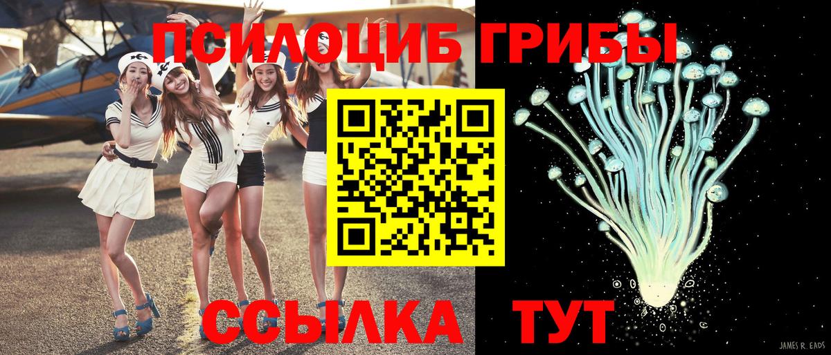Галлюциногенные грибы Magic Shrooms  закладки  Реутов  Вход с VPN 